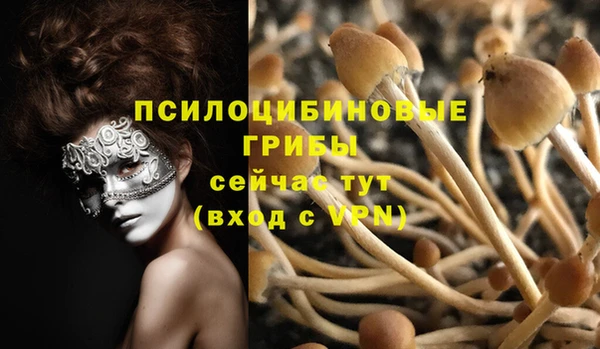 прущий лед Нея
