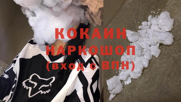 стаф Белокуриха