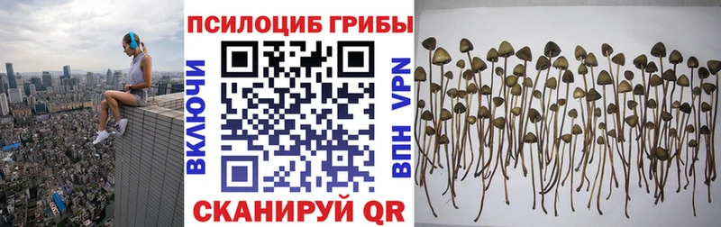 даркнет сайт  Ульяновск  OMG tor  Галлюциногенные грибы Psilocybine cubensis 