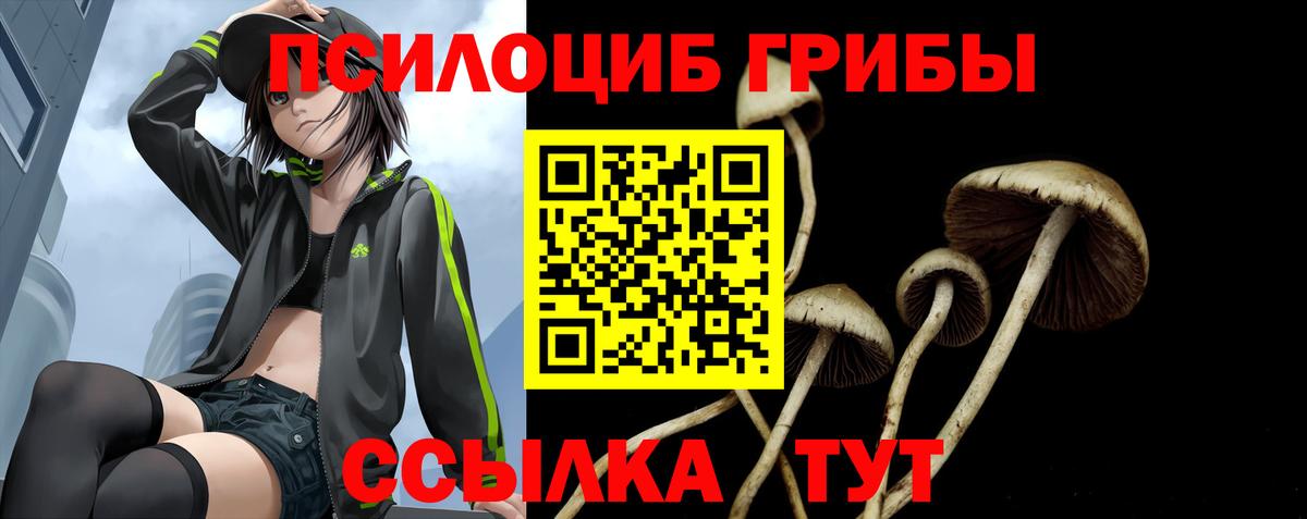 Галлюциногенные грибы Psilocybe  Вход с VPN  Ульяновск 